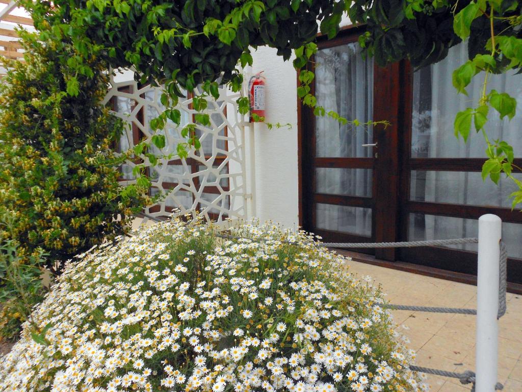 Aytas Hotel Ayvalı Eksteriør bilde